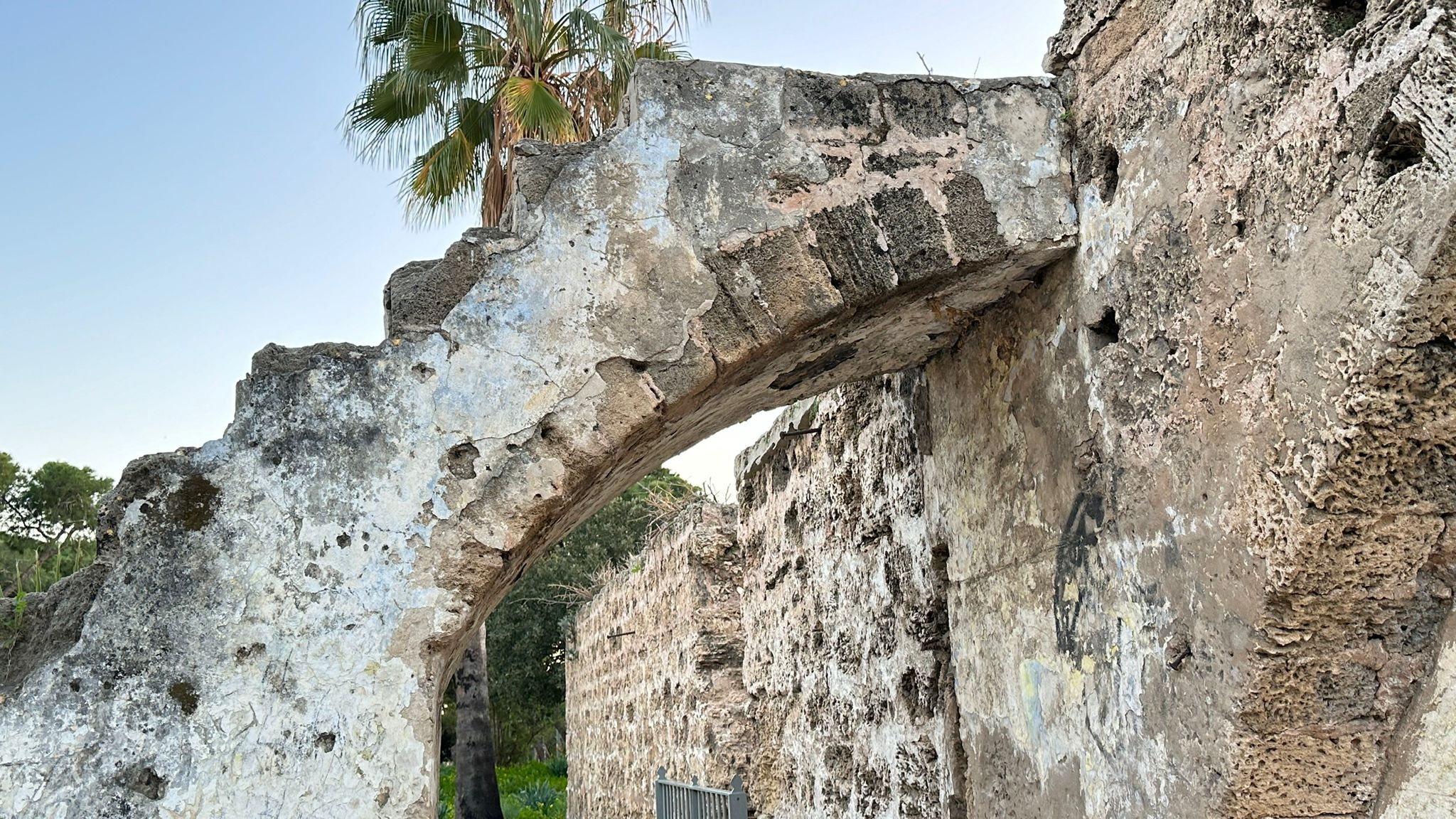 WhatsApp Image 2024-01-06 at 10.25.30.jpg